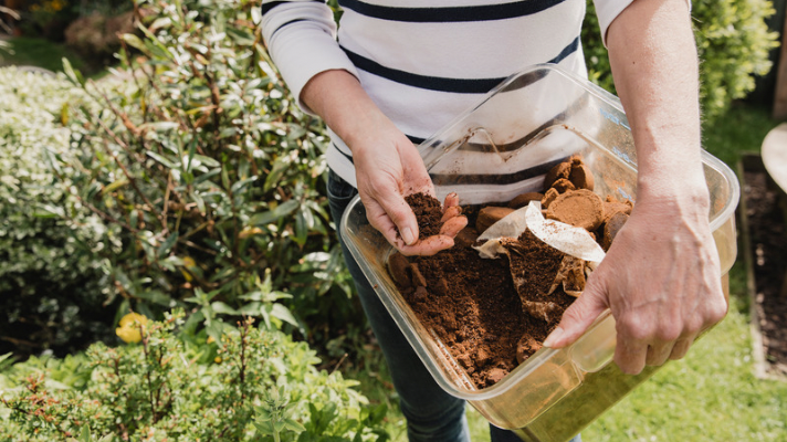 Free Coffee Grounds For Your Garden From Starbucks
